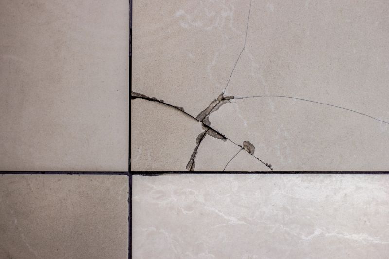 Specialized Tile Repair Experts